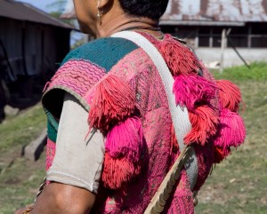  Wakro Miju Mishmi head man 20101124 0735