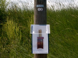 Gallery box - Reed pocket