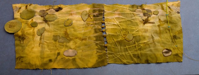 Whanganui Mary's class20140424 0707 RS